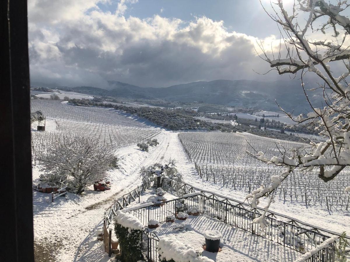 Azienda Agricola Il Poggiolino Vila Pelago Exterior foto