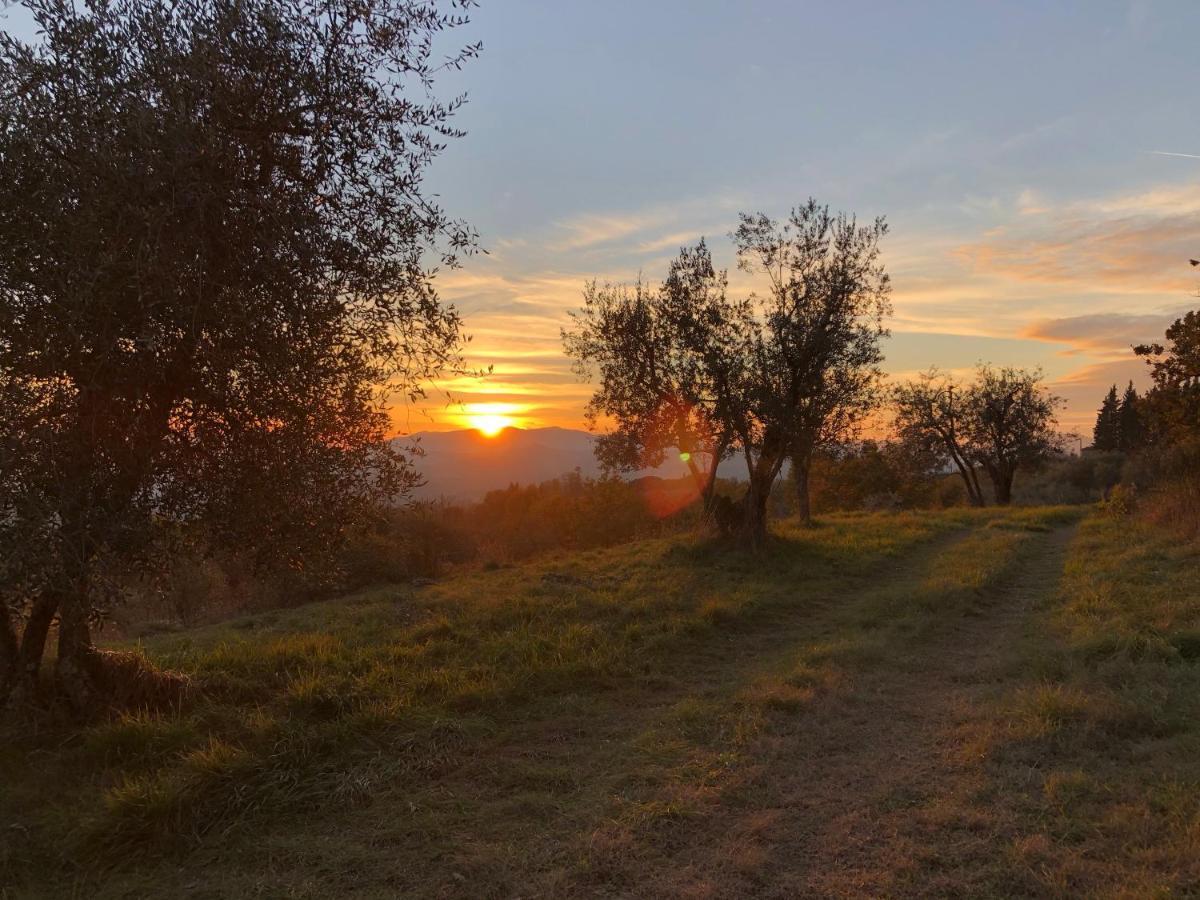 Azienda Agricola Il Poggiolino Vila Pelago Exterior foto